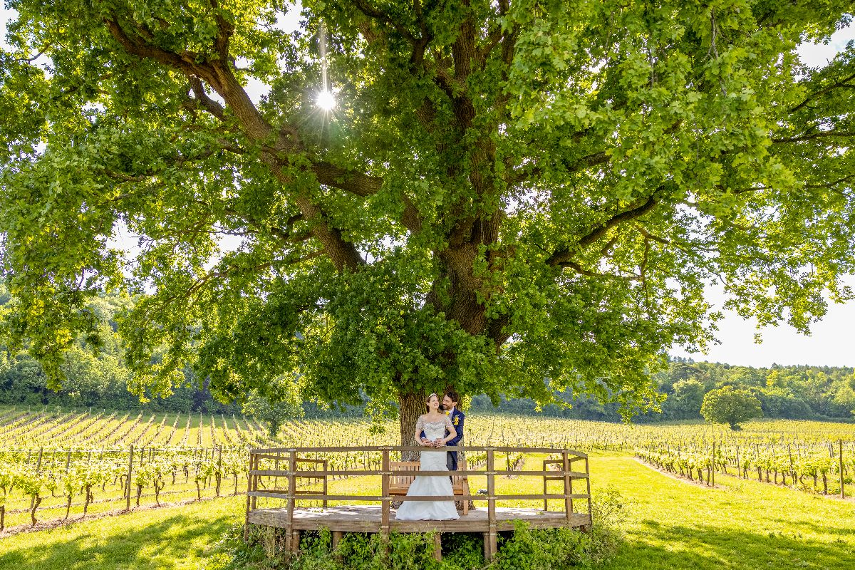 Gallery Item 7 for Denbies Wine Estate