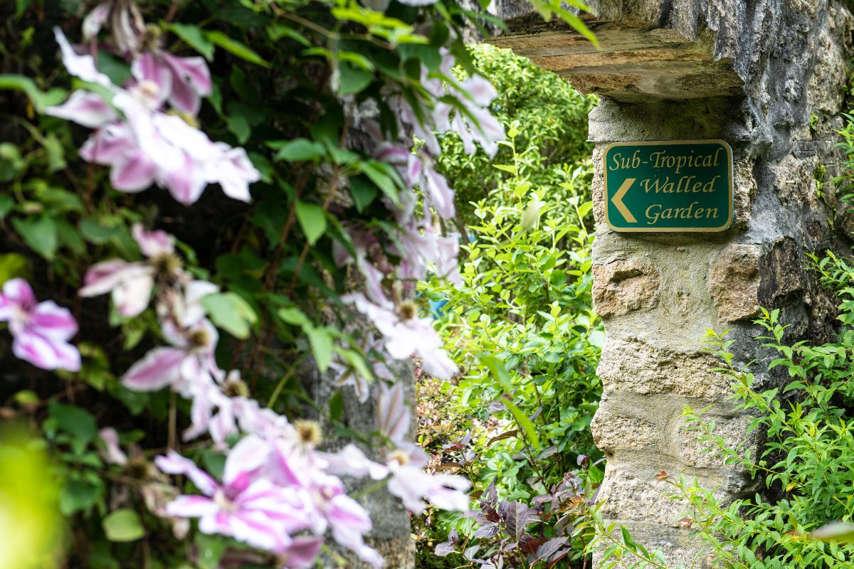 Gallery Item 11 for Tregenna Castle Hotel