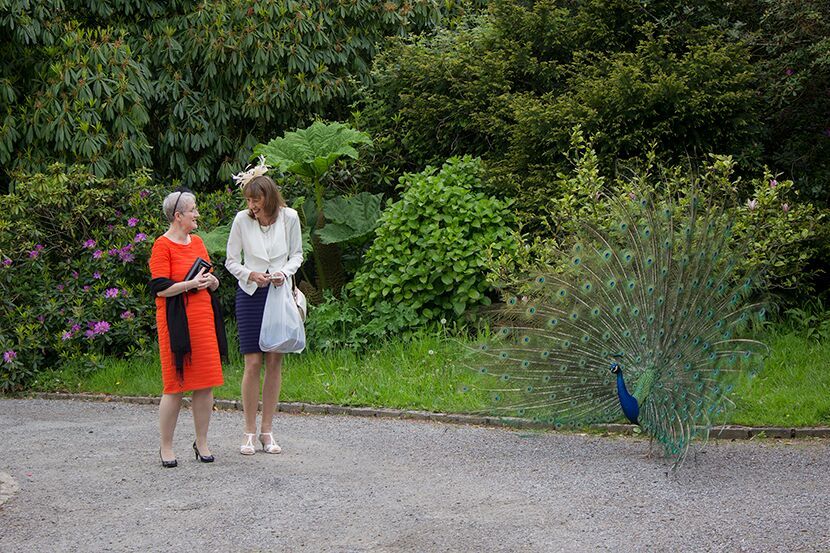 Gallery Item 2 for Dartmoor Zoological Park