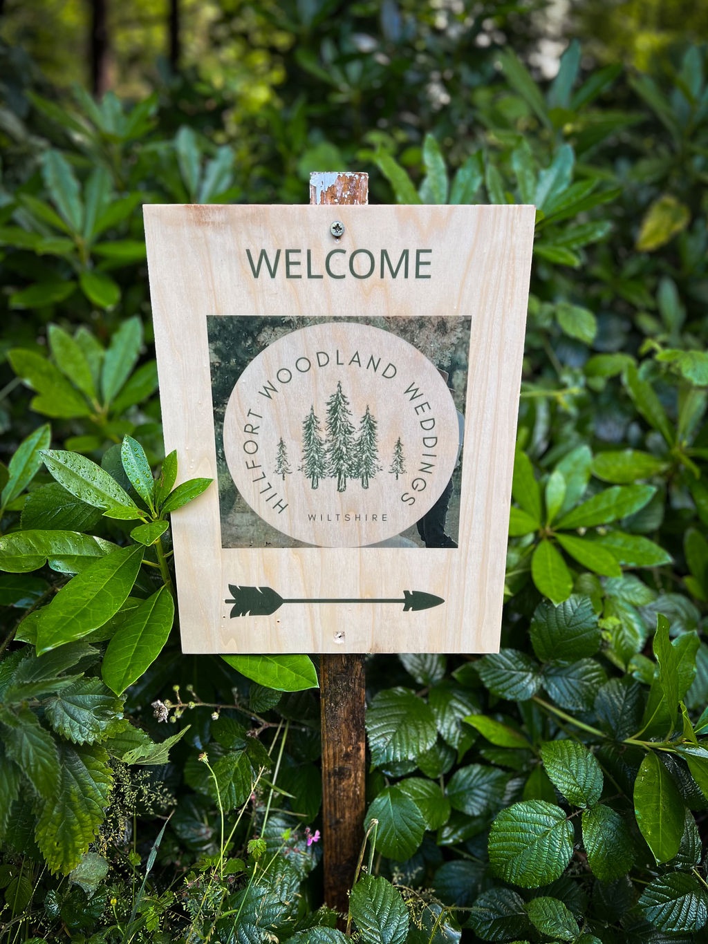 Gallery Item 12 for Hillfort Woodland Weddings