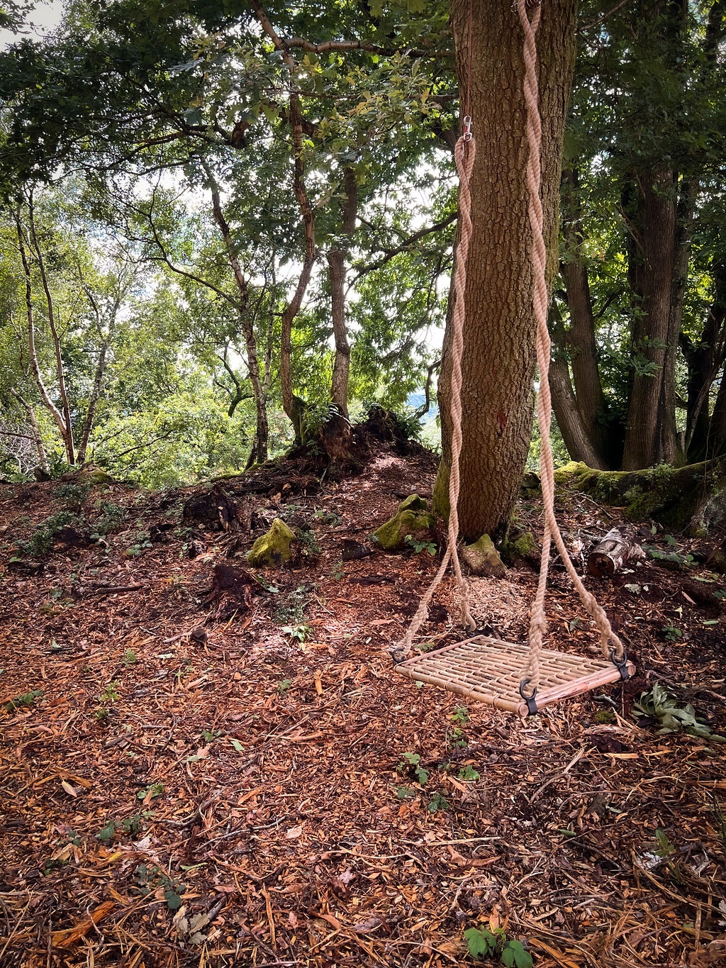Gallery Item 4 for Hillfort Woodland Weddings
