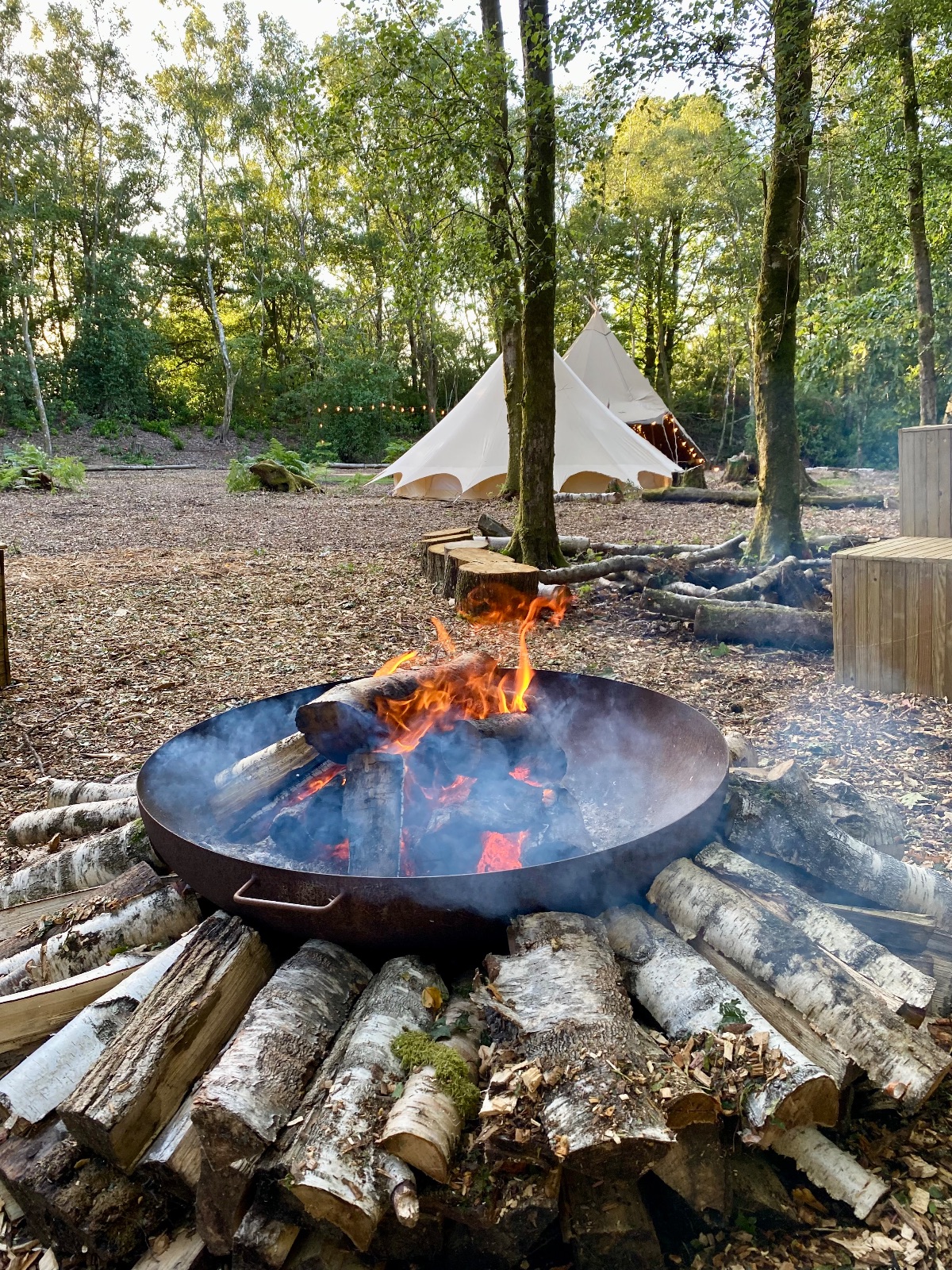 Gallery Item 13 for Hillfort Woodland Weddings